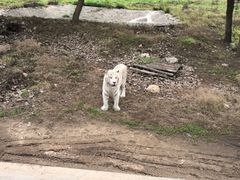 秦岭野生动物园-西安秦岭野生动物园