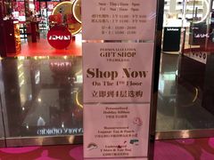 -DFS旗下T广场(新加坡店)