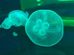 -鄂尔多斯野生动物园