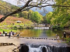 -广州市石门国家森林公园
