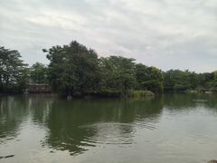-海珠湖公园