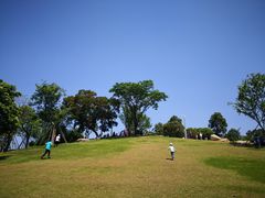-飞凤山奥体公园