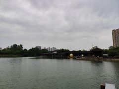 -洋湖国家湿地公园