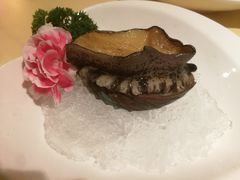 七头鲍鱼-甘尼仕印度餐厅爵士酒吧(阳春巷店)