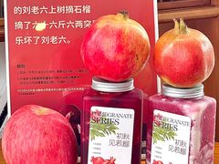 -萃茶师(琅西店)