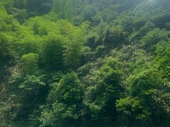 -将军关探险漂流