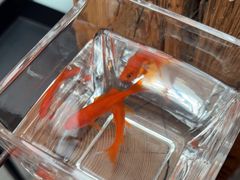 -瓦库茶馆17号(海汇港店)