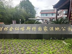 -会仙湿地