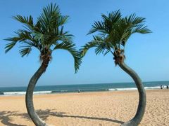 -渡海小渔村.老辈日照菜