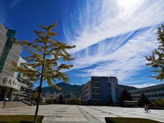 -青岛大学(金家岭校区)