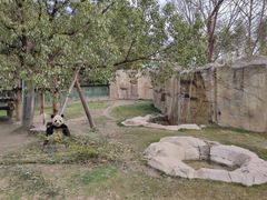 -上海野生动物园