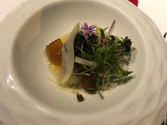 黄尾鲥鱼薄切-蝶舍·MAISON PAPILLON