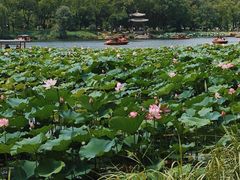 -承德避暑山庄景区