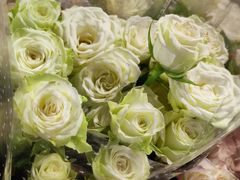 -循礼门鲜花花市(武汉循礼门店)