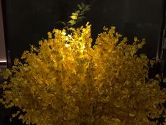 -泰之源足浴会所(玉环店)