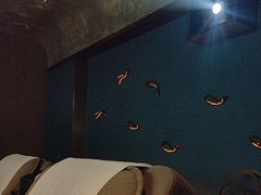 -金御沐足·影院式足道(新城店)