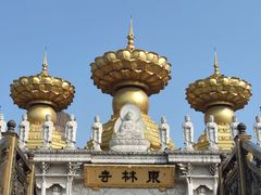 -上海东林寺(金山区)