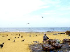 -尼甘布海鲜市场