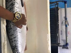 -麦德龙(湖里店)