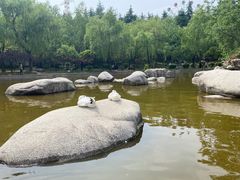 -清凉山国家森林公园