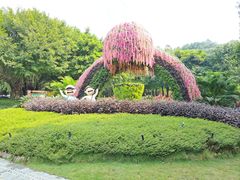 -王借岗森林公园