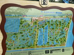 -大湾区中央湿地公园