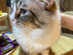 -白兔子密室(长寿路店)