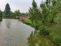 -白鹭湾湿地公园