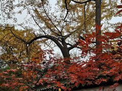 -虞山风景区