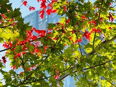 -大连双兴商品城