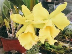 -国家植物园南园