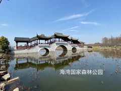 -上海海湾国家森林公园