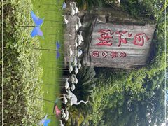 -广州白江湖森林公园