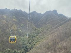 -栾川竹海野生动物园