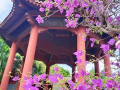 -南沙天后宫景区