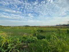 -东山风景区(洞庭东山)