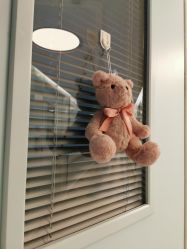 -杭州贝瑞斯美华妇儿医院·早孕·产检·儿科