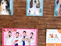 -思琪宠物医院(昆山花桥店)