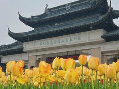 -苏州上方山国家森林公园