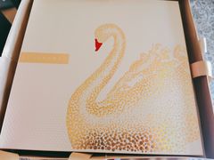 -BLACKSWAN黑天鹅(环球店)