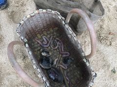 -北海金海湾红树林生态旅游区