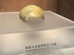 -四川宋瓷博物馆