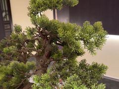 -大妙火锅·非物质文化遗产(东湖公园店)