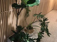 -OCE(熙地港购物中心店)