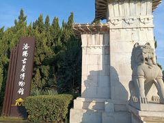 -洛阳古墓博物馆