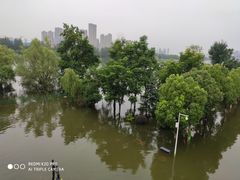 -汉水公园