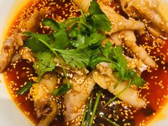 -红辣椒·川菜·火锅(张杨路店)