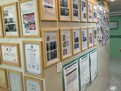 -半岛宠物医院24小时·内窥镜·牙科·碎石中心(府城大道店)