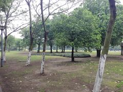 -蠡湖大桥公园