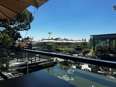 -蘇河湾·新鲁菜·泰山宴(泰山店)